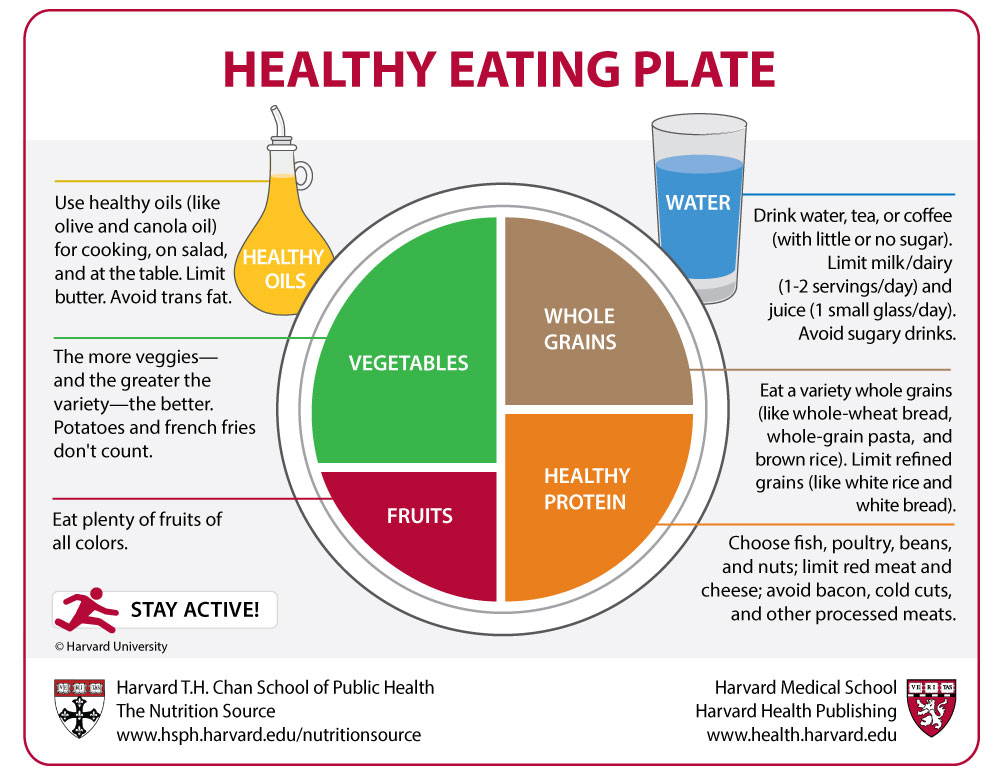 Comparison of the Healthy Eating Plate and the USDA&rsquo;s MyPlate 