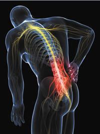 lexapro and nerve pain