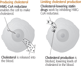 Can crestor cause constipation incontinence