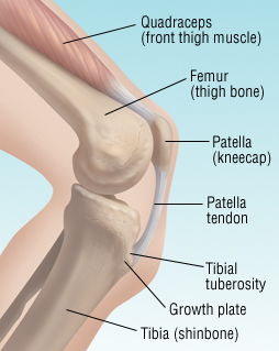 injury below knee cap