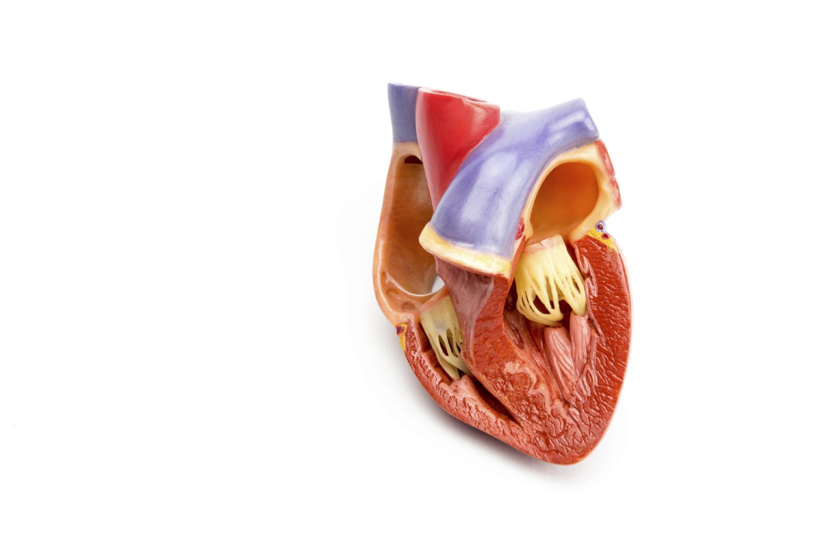 What are the symptoms of heart failure? - Harvard Health