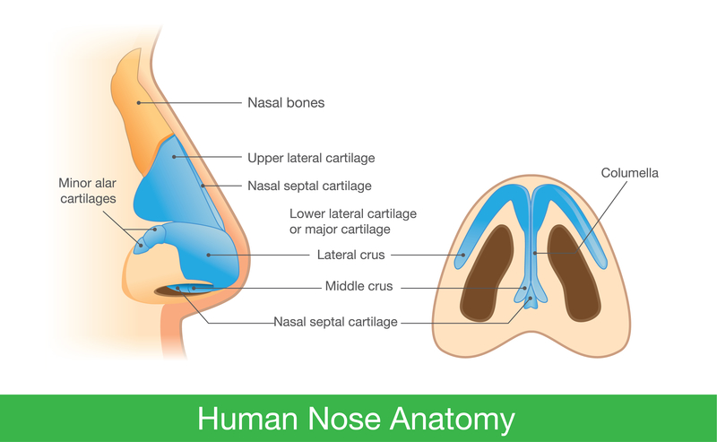 can nasal spray cause nose bleeds